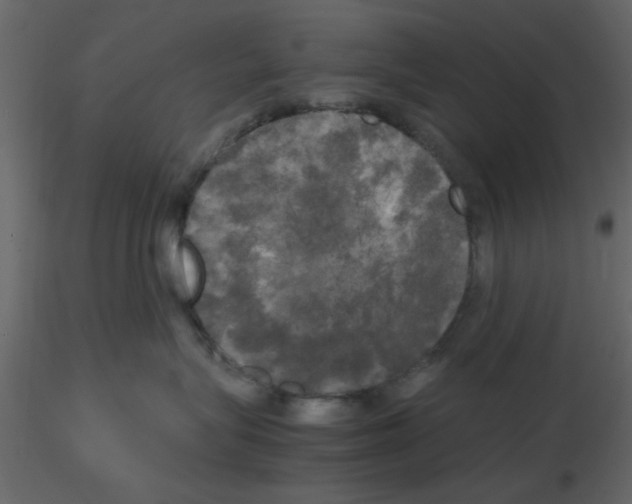 X0000115660575200912241401