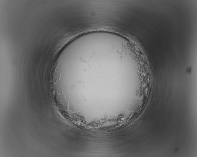 X0000115660577200912241401