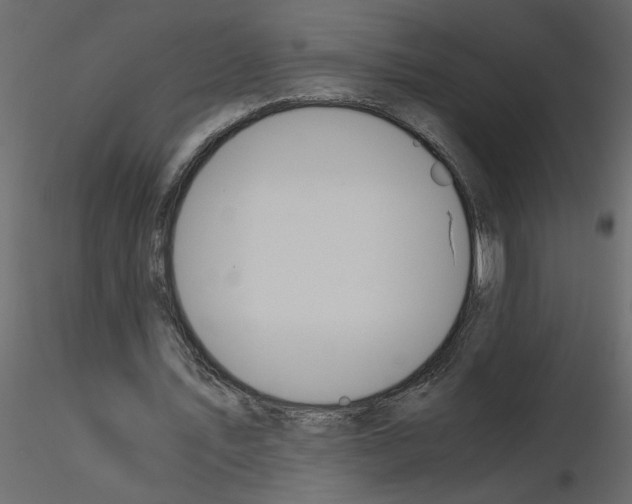 X0000115660579200912241400