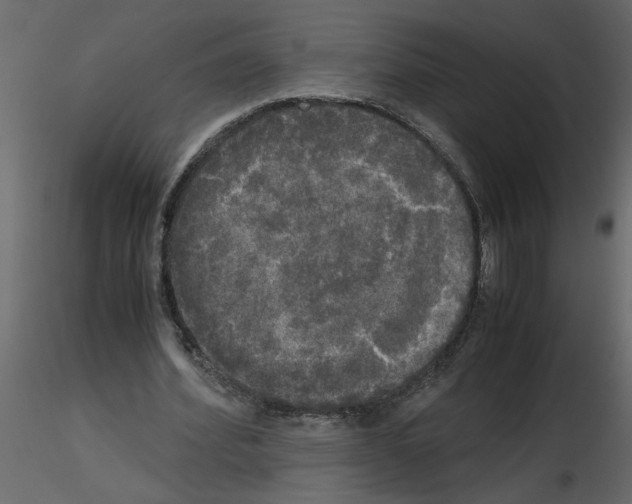 X0000115660580200912241400