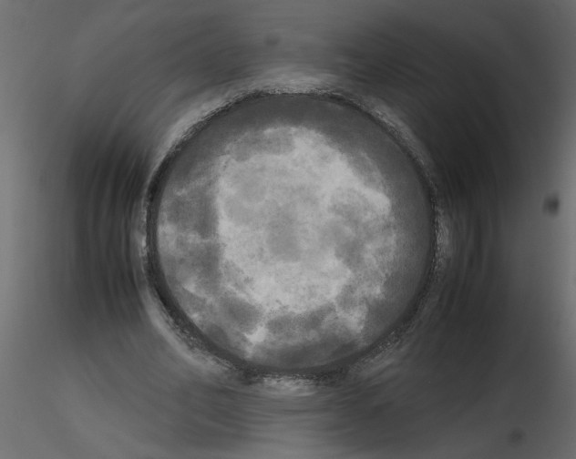 X0000115660582200912241400