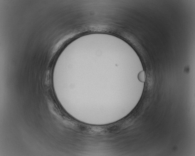 X0000115660583200912241400