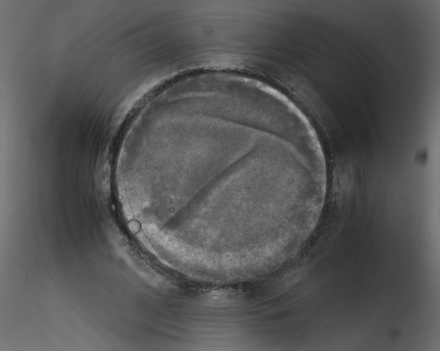 X0000115660584200912241400