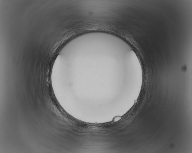 X0000115660585200912241400