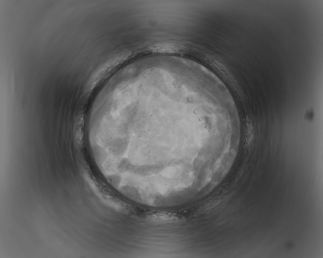 X0000115660586200912241400