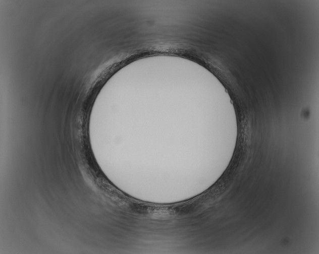 X0000115660587200912241400