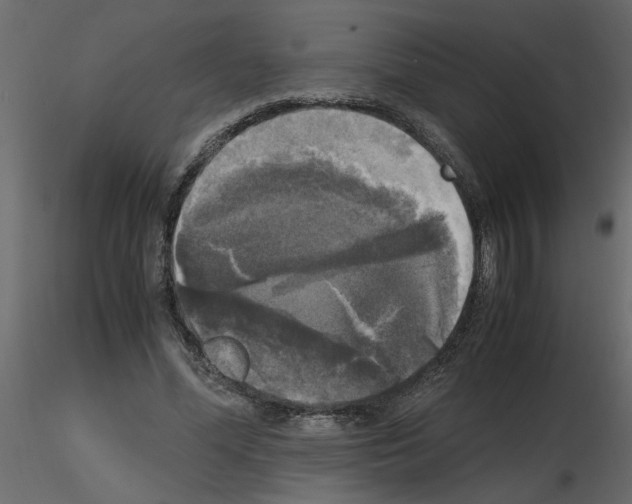 X0000115660588200912241400