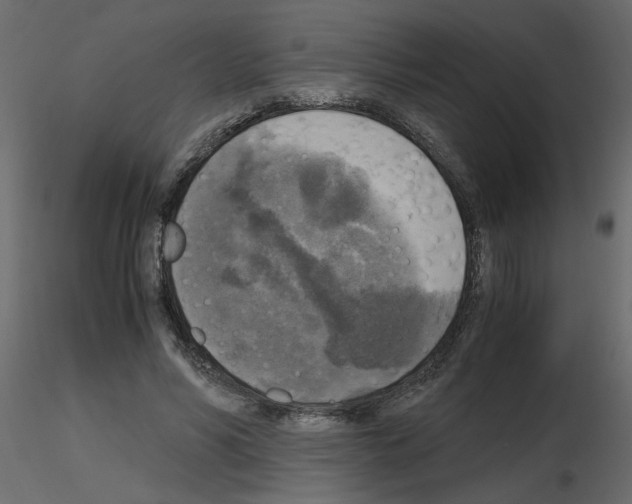 X0000115660590200912241400