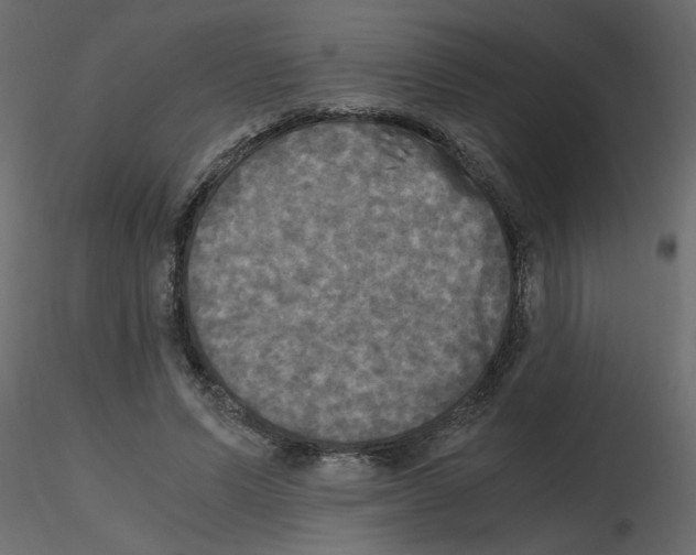 X0000115660591200912241400