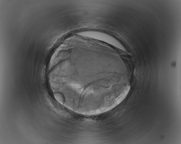 X0000115660592200912241400