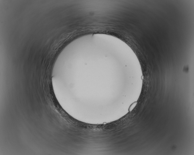 X0000115660593200912241400