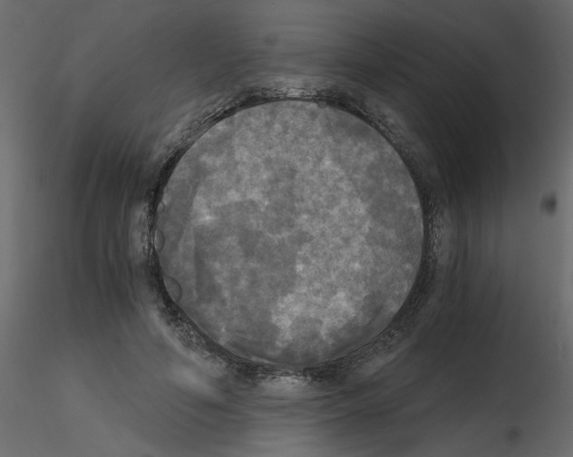 X0000115660594200912241400