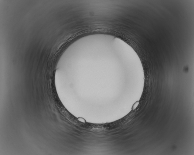 X0000115660595200912241400