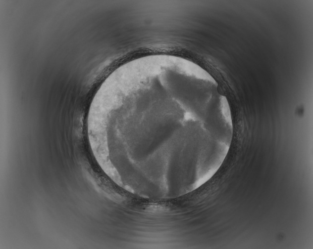 X0000115660596200912241400