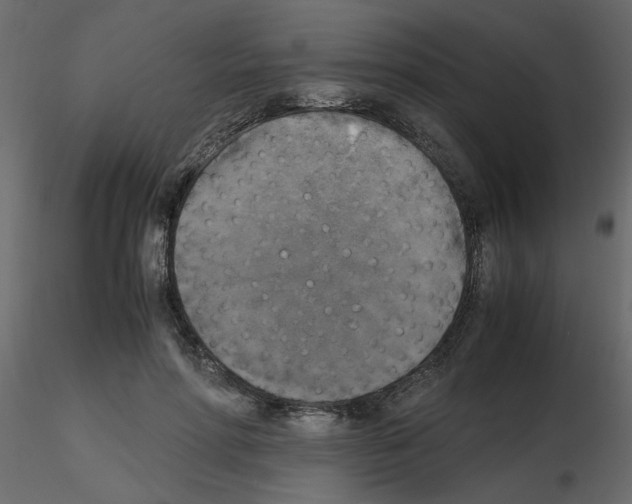 X0000115660598200912241400