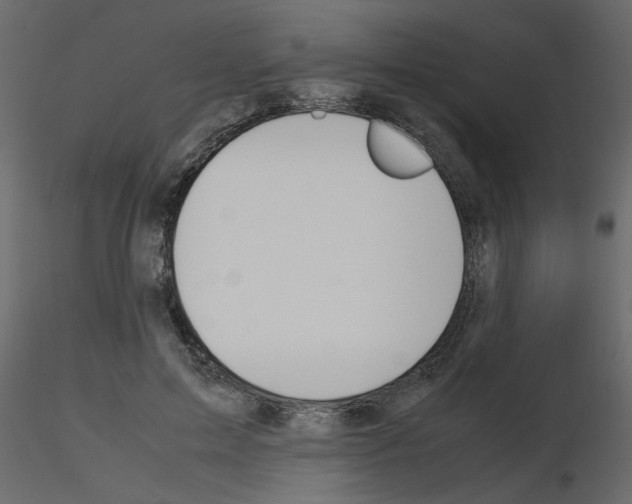 X0000115660599200912241400