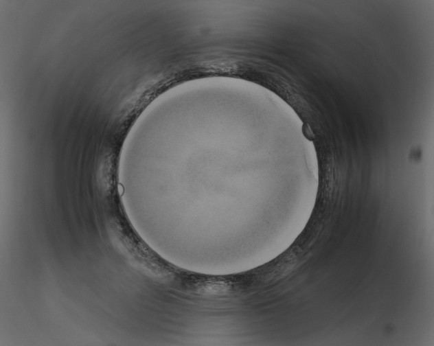 X0000115660600200912241400