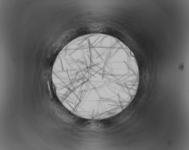 X0000115660601200912241400