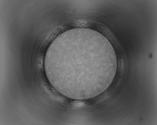 X0000115660602200912241400