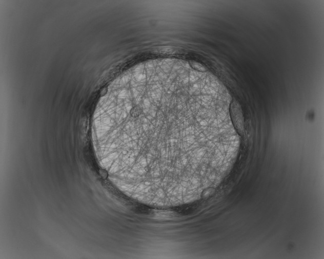 X0000115660605200912241400