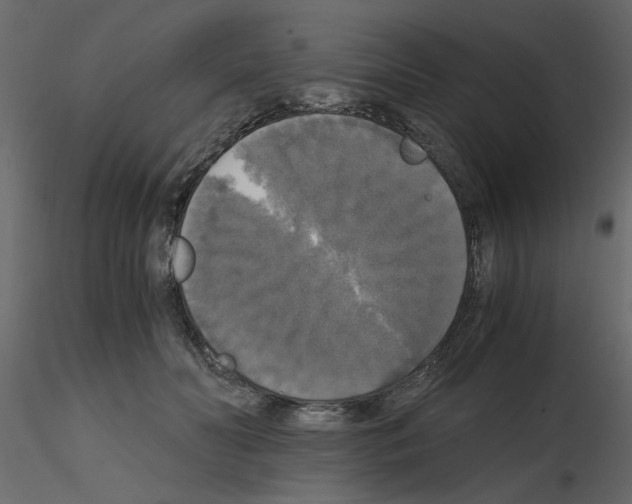 X0000115660606200912241400