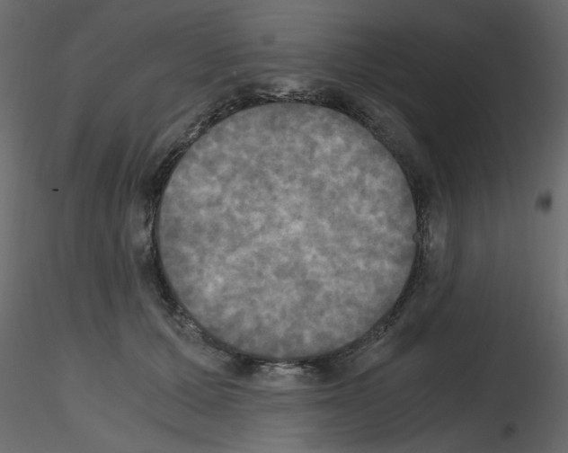 X0000115660607200912241400