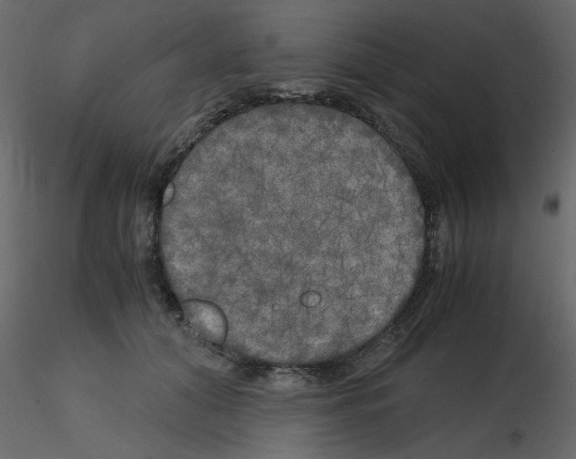 X0000115660608200912241400