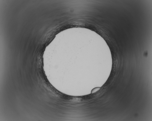 X0000115660609200912241400