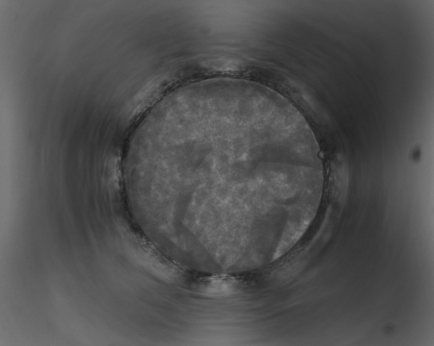 X0000115660612200912241400