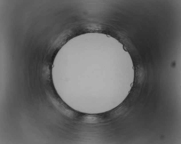 X0000115660614200912241400