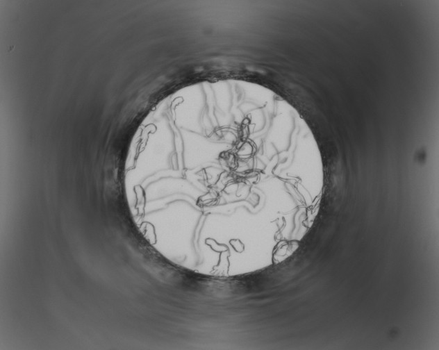 X0000115660615200912241400