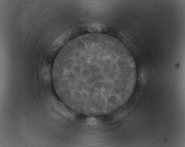 X0000115660616200912241400