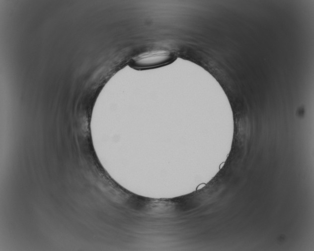 X0000115660617200912241400