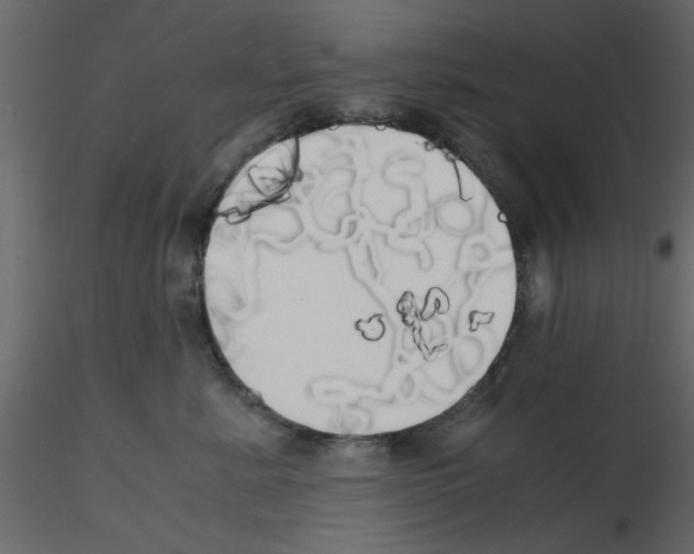 X0000115660619200912241400