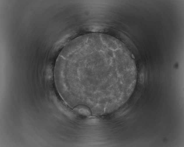 X0000115660620200912241400