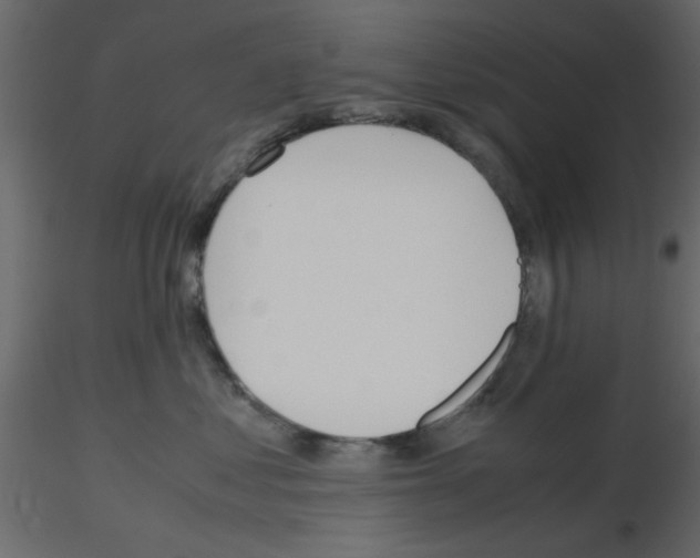 X0000115660621200912241400