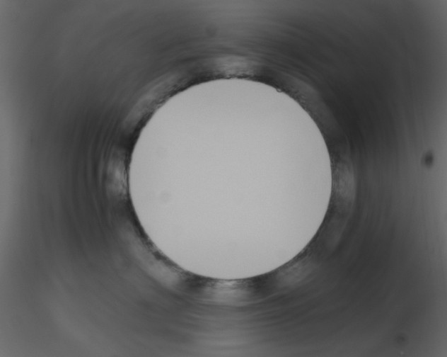 X0000115660622200912241400