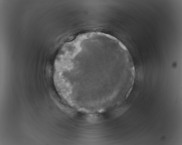 X0000115660623200912241400