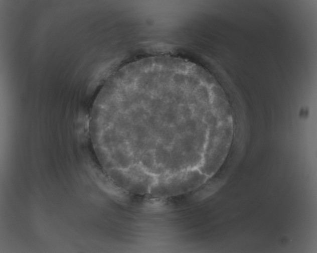 X0000115660624200912241400