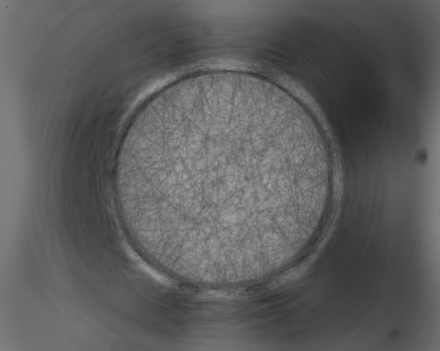 X0000115660625200912241359