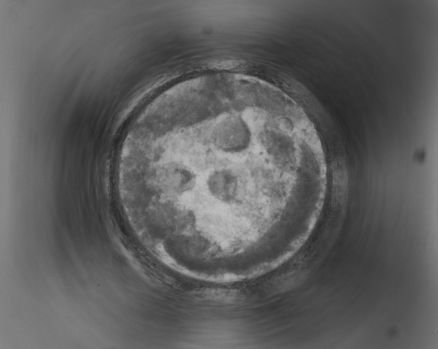 X0000115660626200912241359