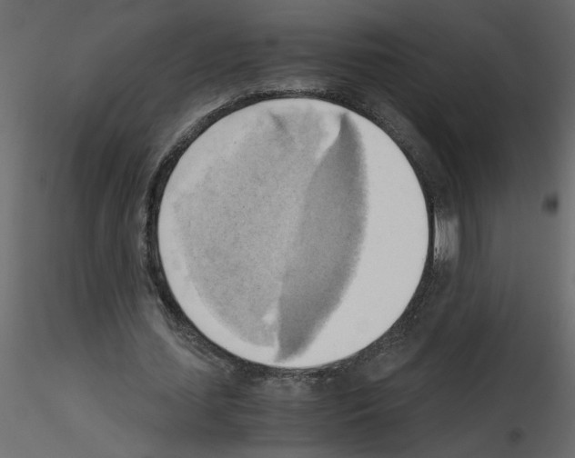 X0000115660627200912241359