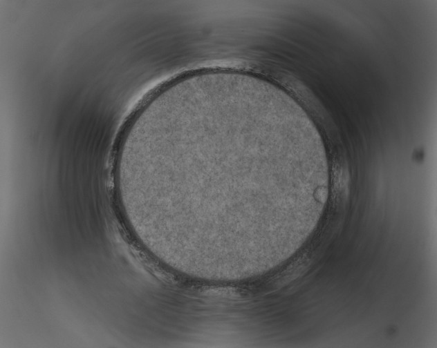 X0000115660628200912241359