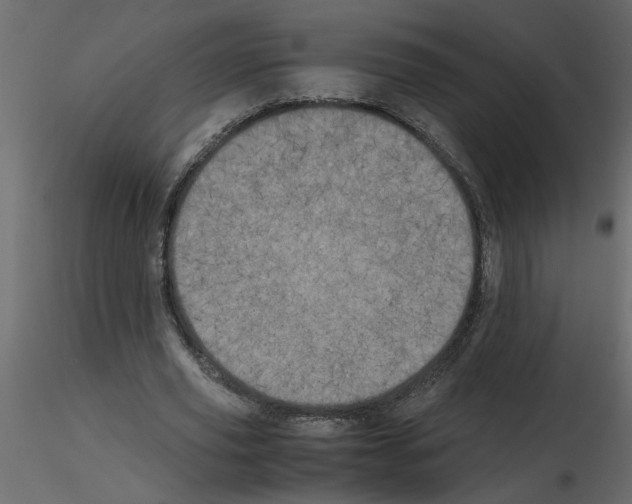 X0000115660629200912241359