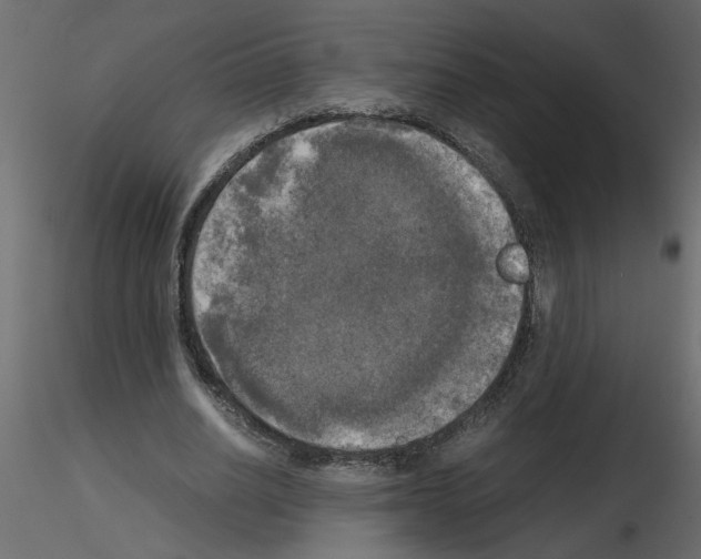 X0000115660630200912241359