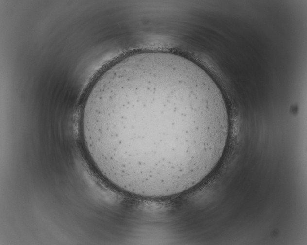 X0000115660632200912241359