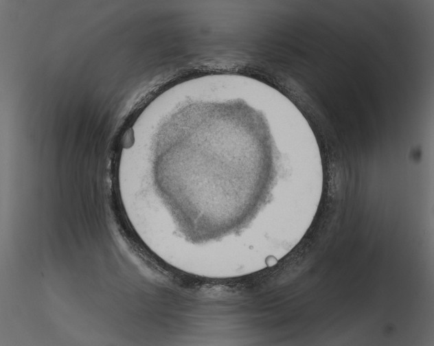 X0000115660634200912241359