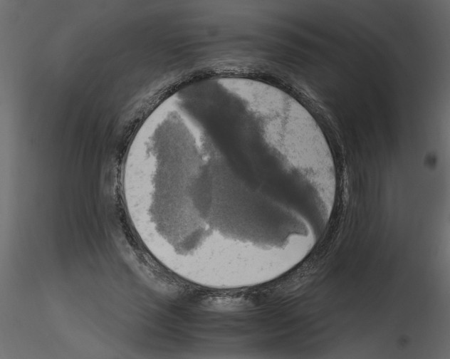 X0000115660637200912241359