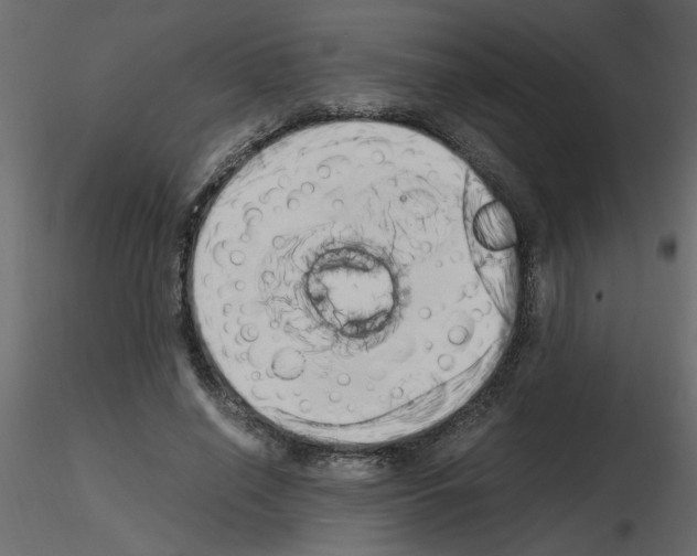 X0000115660638200912241359