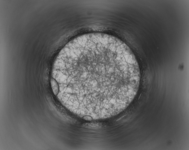 X0000115660639200912241359